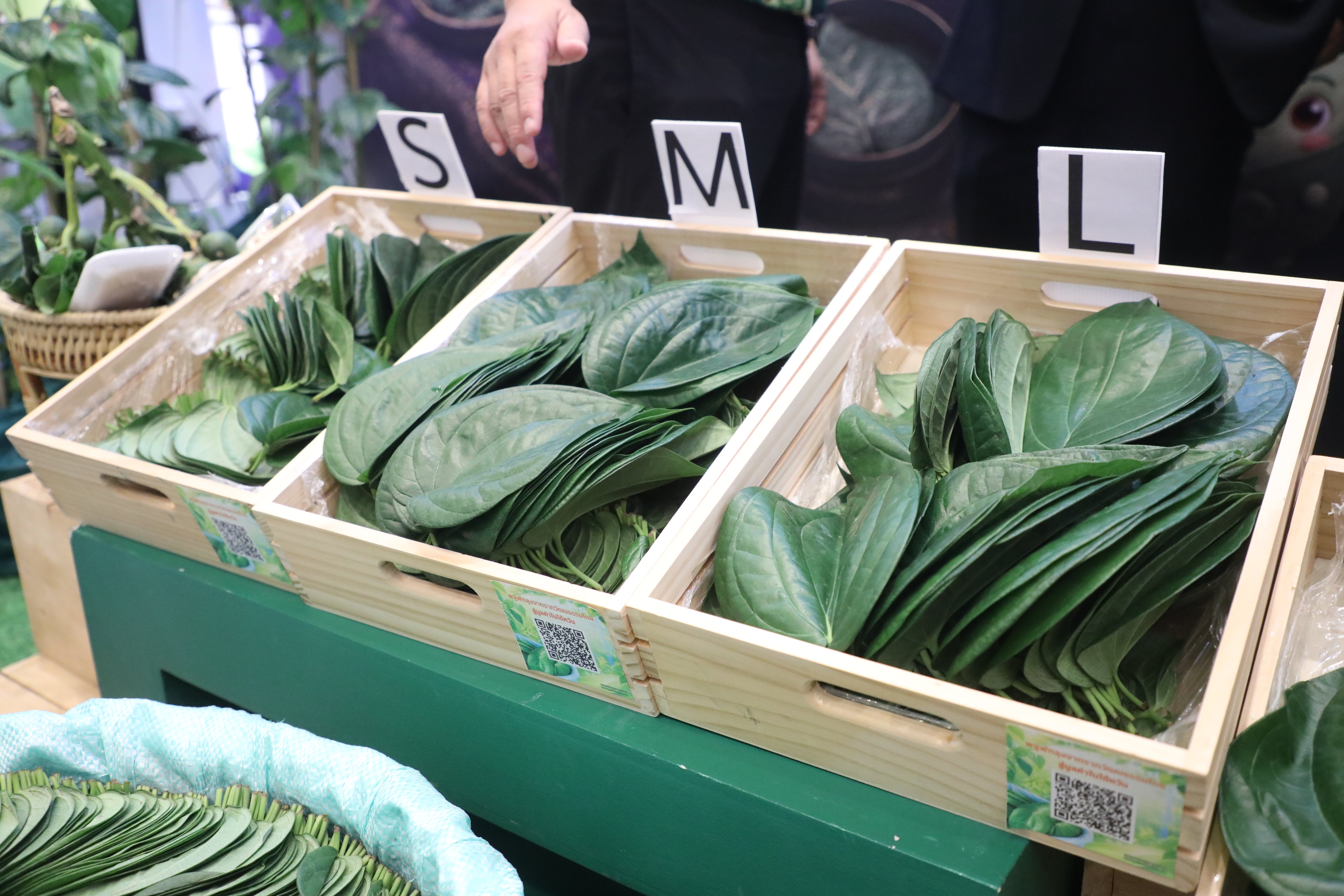 title - เข้าร่วมชมการจัดนิทรรศการ และนำเสนอผลงานกลุ่ม สินค้าเกษตรมูลค่าสูงและแผนผลักดันสินค้าเกษตรมูลค่าสูง เพื่อการส่งออกไปยังต่างประเทศ หลักสูตร นักบริหารการพัฒนาการเกษตรและสหกรณ์ ระดับสูง (นบส.) รุ่นที่ 94